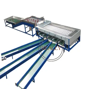 OEM commercial Fruit and vegetable selecting sorter tomato grader sorting machine