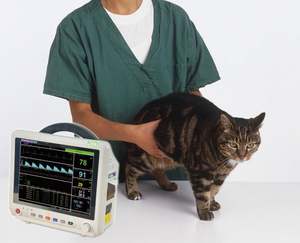 <span class=keywords><strong>Monitor</strong></span> Tekanan Darah Dokter Hewan, <span class=keywords><strong>Monitor</strong></span> Portabel Mage Hewan Multiparameter Layar Ponsel Kompatibel untuk Potret Janin - Product Image 3