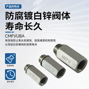 Válvula de Seguridad a Prueba de Explosiones Tipo CMFVUBA, Resistente a la Corrosión, Galvanizada con Zinc, Larga Vida Útil, Alta Resistencia a la Presión, Precisa - Product Image 3