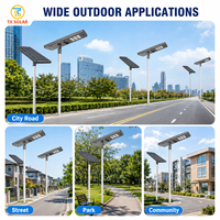 Lampu Jalan Tenaga Surya LED Terintegrasi Bingkai Terpadu TX SOLAR Kecerahan Tinggi IP66 Tahan Air untuk Penerangan Jalan Kota