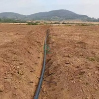 Tuyau/tube d'irrigation goutte à goutte sous-surface (SDI) en plastique de 16 mm pour l'agriculture et le jardinage
