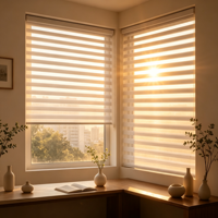 Stores zébrés sans fil à double écran, translucides, à intensité lumineuse réglable, avec système de freinage sans cordon, pour la décoration intérieure de la maison et du bureau