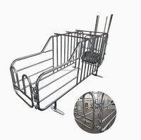 Enclos à porcs galvanisé de haute qualité, box de gestation pour porcs, équipement de clôture durable pour élevage porcin