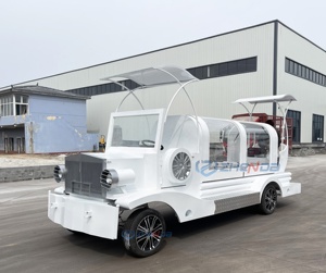 Factory Customized Vintage White Coffin Carriage Horse Wagon Antique Electric Buggy Electric Funeral Horse Hearse - Product Image 6