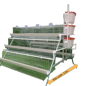 Cage à œufs pour poules, système de volaille entièrement automatique, pour poules, mexique, turquie, Philippines, Canada, italie, inde