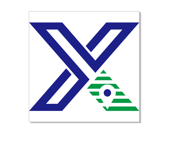 Guangxi Xingyuan Location Service Co., Ltd. logo