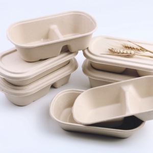 Para ir Bagazo de caña de azúcar Embalaje 2 3 4 Compartimentos Arroz Bento Desechable Restaurante <span class=keywords><strong>Take</strong></span> <span class=keywords><strong>Away</strong></span> Contenedor de comida Fiambrera - Product Image 1