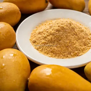 Poudre de crème glacée molle de haute qualité au goût mangue 1 kg pour les magasins de crème glacée - Product Image 3