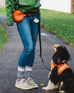 Bolsa impermeable cruzada con logotipo personalizado y correa para comida, bolsa de viaje para mascotas, riñonera para caminar con bolsa de jarra de agua - Product Image 4
