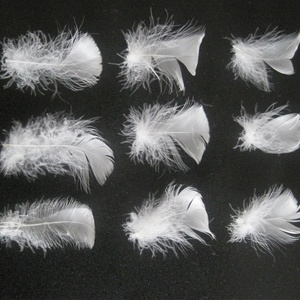 <span class=keywords><strong>Plumes</strong></span> de canard <span class=keywords><strong>blanches</strong></span> lavées naturelles de Chine, 2,4 cm – Matière première pour rembourrage en gros - Product Image 2