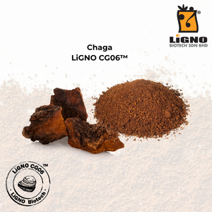 ผู้ผลิตมาเลเซีย Chaga LiGNO CG06 ได้รับการรับรองฮาลาลและโคเชอร์ สำหรับผลิตภัณฑ์ดูแลผิวหน้า ระดับ OEM ODM คอสเมซิทิคอลแอคทีฟ - Product Image 2
