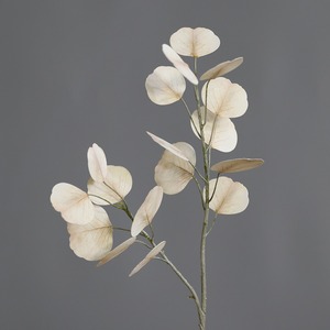 <span class=keywords><strong>Foglie</strong></span> di eucalipto <span class=keywords><strong>a</strong></span> doppia faccia fiori artificiali che il denaro lascia la casa matrimonio composizione floreale <span class=keywords><strong>foglie</strong></span> di colore autunnale - Product Image 4