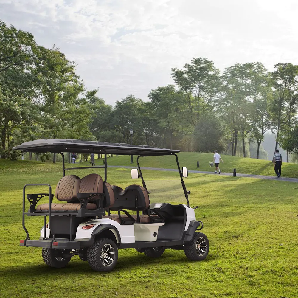 Voiturette de golf électrique de luxe 6 places buggy de golf de plage 6 passagers nouveau design chinois d'approvisionnement d'usine