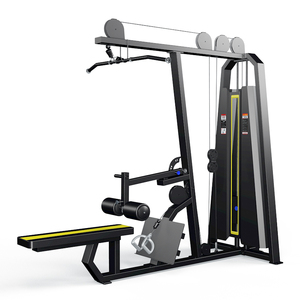 Shandong Bodybuilding Commercial Fitness Gym Equipment Lat Pulldown & Low Row Machine - Product Image 6