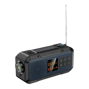 D589 NOAA All North America Radio Bt altoparlanti da esterno alimentati da 15 pollici altoparlante digitale con potente luce Flash