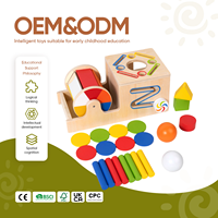 Houten vormsorteerspeelgoed Montessori kleurmatchende doos met schijven, staven, ballen, geometrische blokken, educatief speelgoed voor peuters