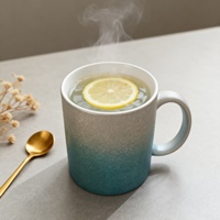 Tasses à café et à vin en céramique minimaliste en forme d'œuf, à double paroi, enduites de poudre, 11 oz, compatibles lave-vaisselle, pour gravure laser