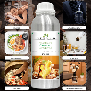 Hierba China cuerpo cálido antidolor precio al por mayor jengibre terapéutico Natural puro esencial para masaje crecimiento del cabello baño de pies - Product Image 5