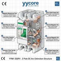 Disjoncteur à boîtier moulé solaire photovoltaïque YYM1 250PV 250A DC MCCB 2 pôles 500V 750V 1000V 20kA CE