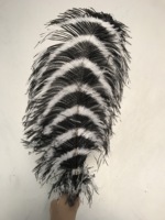 Nouvel Arrivage Plumes d'autruche de 60-65 cm à vendre, Grands éventails en plumes d'autruche, Centre de table en plumes d'autruche