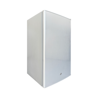 Conglateur Solaire de Haute Qualité Réfrigérateur Solaire Frigo Vertical DC/AC 12V/24V Porte Simple Économie d'Énergie pour Usage Domestique