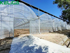 Système de culture hydroponique NFT bon marché Projet clé <span class=keywords><strong>en</strong></span> <span class=keywords><strong>main</strong></span> de légumes Green House Channel Square PVC Pipe Système hydroponique vertical - Product Image 5