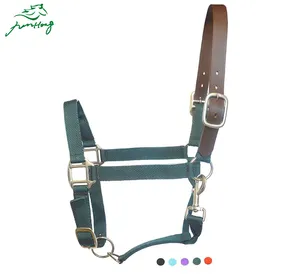 Riding Headcollar Tali Kuat Bagian Pertandingan Persegi Digunakan Luar Ruangan Berkuda Kuda Halters Kustom