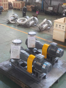 משאבת צנטריפוגלי ברזל יצוק יצוק אופקי לטיפול בשפכים מיוצר לפי שם - Product Image 6