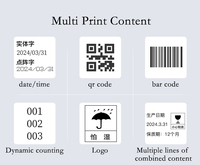 Impresora de Inyección de Tinta Estática de Escritorio para Logotipos, Números de Lote, Tinta de Secado Rápido, Embalaje de Cartón, Texto, Fecha, Códigos QR y Códigos de Barras
