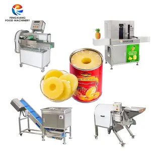 Konserve ananas konserve gıda makinesi hattı işleme ticari endüstriyel kaplama ve coring dilimleme ucuz fiyat satılık