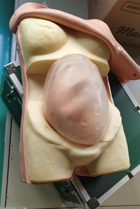 Tıbbi bilim için hamile kadınlar için bilgisayarlı anne muayene simülasyon modeli Prenatal Checkup jinekolojik sınav - Product Image 2