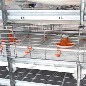 Gabbia Automatica per Polli da Carne con Pavimento a Doghe in PP ad Alta Resistenza per Ridurre Malattie di Zampe e Torace, Prezzo di Fabbrica CE - Product Image 1