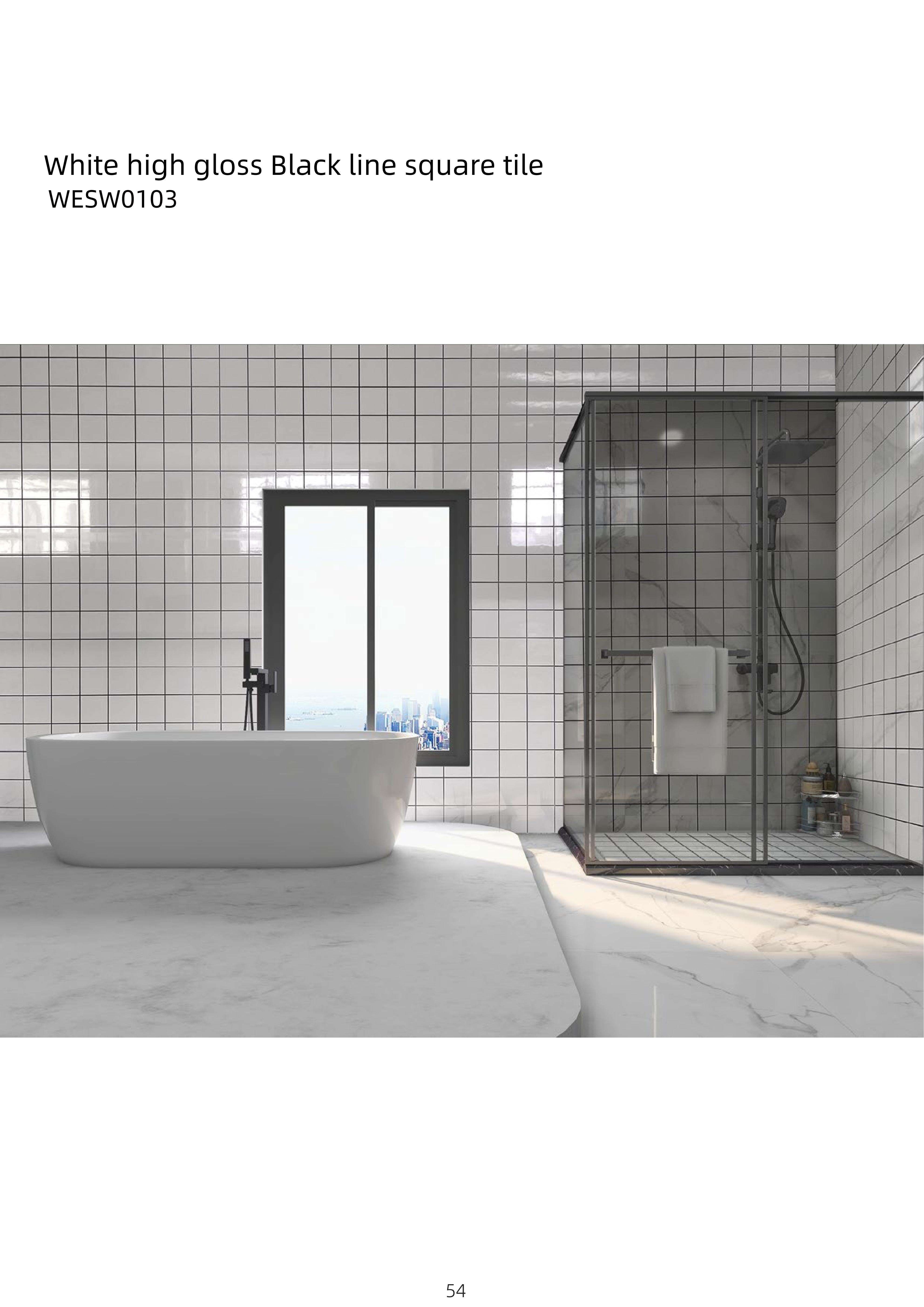 WESW0103   เวสซ์0103