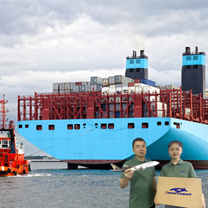 Ransel hewan peliharaan transportasi profesional Forwarder pengiriman Cina konsolidasi kargo laut pengiriman laut ke Amerika Serikat - Product Image 3