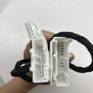 TESLA MODEL 3 2021 Phụ Kiện Sửa Đổi Nội Thất Kích Hoạt Âm Thanh Nâng Cấp Sửa Đổi Cáp Loa Xe Hơi - Product Image 3