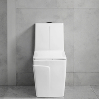 Fabriqué en Chine bidet carré siège de toilette blanc articles sanitaires vente chaude siphonique ligne moderne conception céramique une pièce toilette