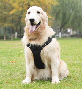 <span class=keywords><strong>Harness</strong></span> Anjing Desain Ringan dan Bernapas, Tahan Lama, untuk Tarik, Dilengkapi Tali Anjing - Product Image 6