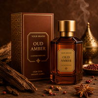 Parfums Oud personnalisés, spray de parfum arabe profond pour les boutiques de parfums de niche, Eau de Parfum OEM ODM, faible MOQ