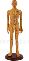 Maniquí de Cobre para Entrenamiento de Acupuntura en Medicina Tradicional China, Modelo de Ciencia Médica con Marcas de Escala Digital y Caracteres Más Claros