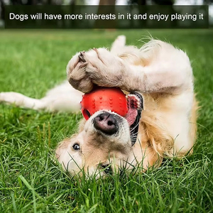 Gioco per Cani da Tiro alla Fune Resistente - Palla Interattiva in Gomma su Corda per Masticatori Aggressivi e Addestramento - Product Image 5