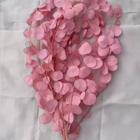 Feuilles de pomme séchées naturelles, blanches et roses, décoratives, pour arrangements de mariage.