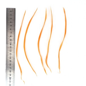 Vente en gros de belles plumes d'oie teintées de 5 à 8 pouces 13-20cm couleurs de plumes d'oie naturelles pour décorations artisanales - Product Image 3
