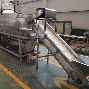 Peladora de ajo industrial Línea de producción de pelador de ajo con transportador - Product Image 2