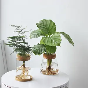 Vaso per la casa decorazione di vetro Soilless vasi per piante verdi vaso Mini idroponico vaso di fiori trasparente per la decorazione domestica PVC moderno