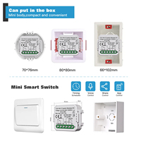 Modul Saklar Smart Dry Contact WiFi/Zigbee 2CH Smart Home DIY Breaker Relay DC 12-48V AC 100-240V Kompatibel dengan Alexa Google Home