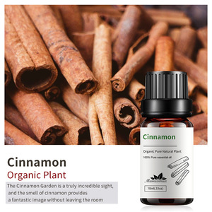 Aceite Esencial de Árbol de Té Natural a Granel 10ml 100% Puro con Incienso, Canela, Cedro y <span class=keywords><strong>Cajeput</strong></span> para Difusor de Coche y Cuidado de la Piel al por Mayor - Product Image 5