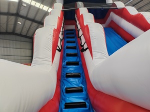 Scivolo d'Acqua a Forma di Palma con <span class=keywords><strong>Piscina</strong></span>, Adatto sia per Bambini che per Adulti - Product Image 3