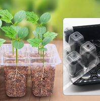 Kit de germination de plantes 3-en-1 avec plateau de semis 12 cellules, dôme de ventilation réglable et boîte de propagation à humidité et chaleur contrôlées