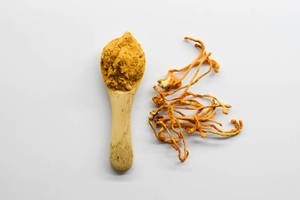 Extracto de Cordyceps Militaris en Polvo Premium, Polvo Herbal Natural de Hongos, Proveedor a Granel para Productos de Salud y Bienestar Dietético - Product Image 4