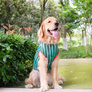 3XL ~ 8XL Chemise pour <span class=keywords><strong>chien</strong></span> pastèque Gilet sans manches Summer Thin Style Medium Large Dogs - Product Image 4